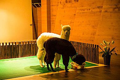 《冰汽时代2》豪华版公布 包含三款付费DLC等